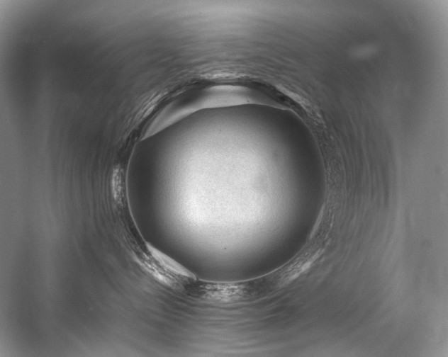 X0000059070288200510071117