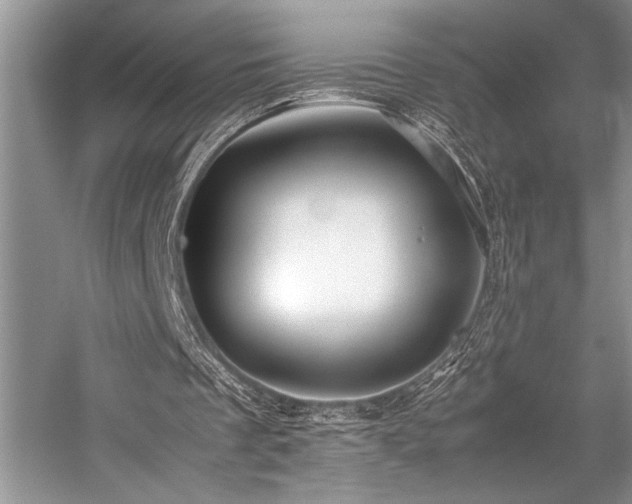 X0000059070289200510071116