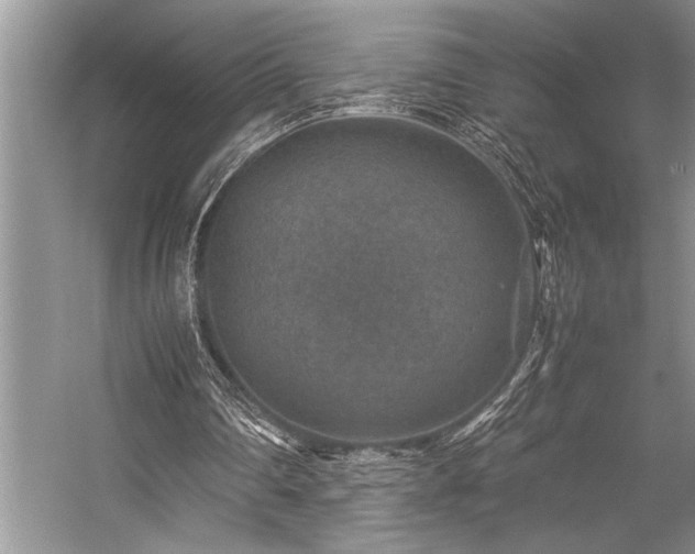 X0000059070290200510071116