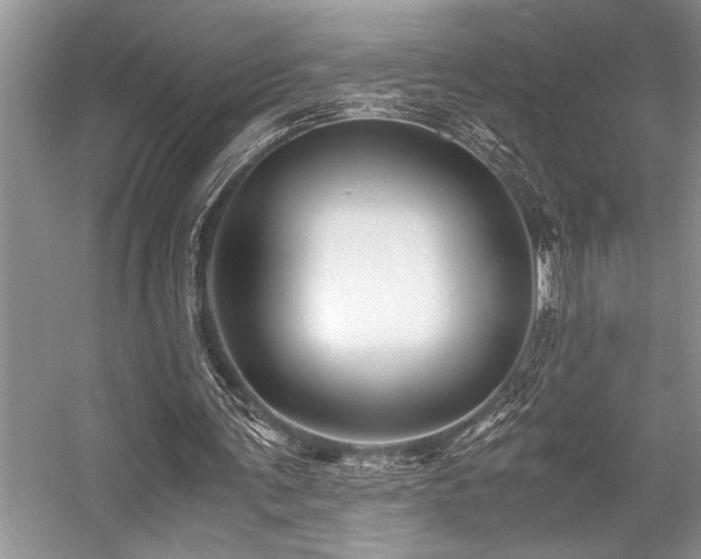 X0000059070291200510071116