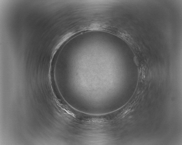 X0000059070292200510071116