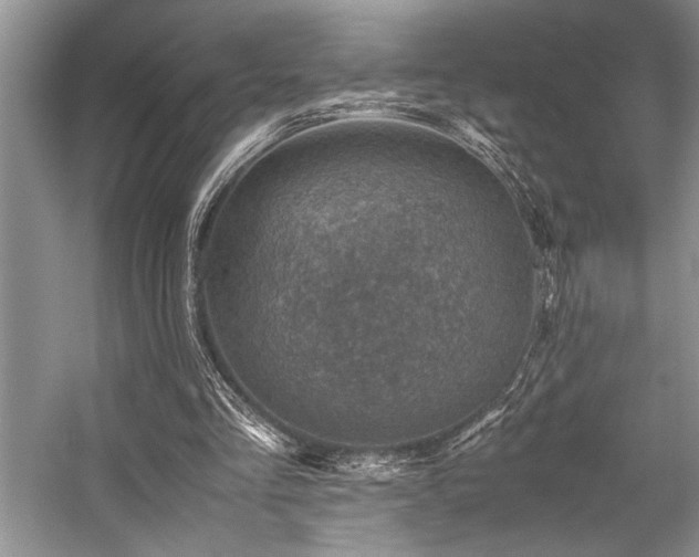 X0000059070293200510071116
