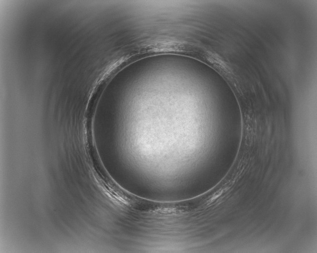 X0000059070298200510071116