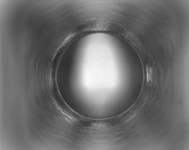 X0000059070300200510071116