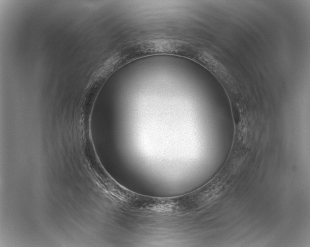 X0000059070306200510071116