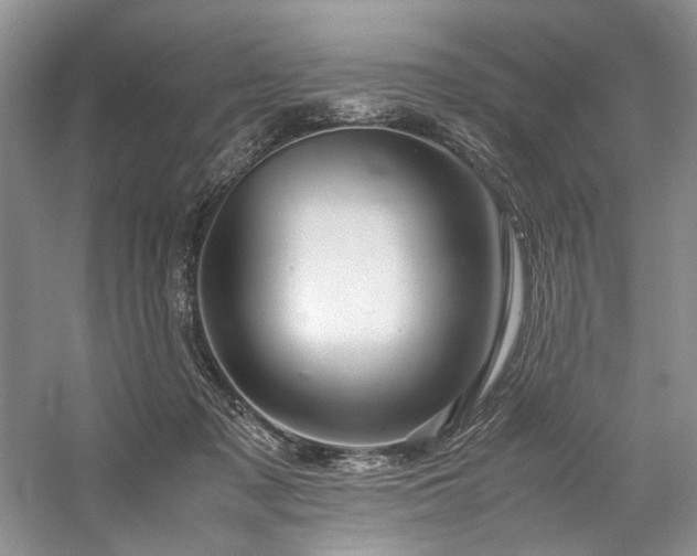X0000059070317200510071115