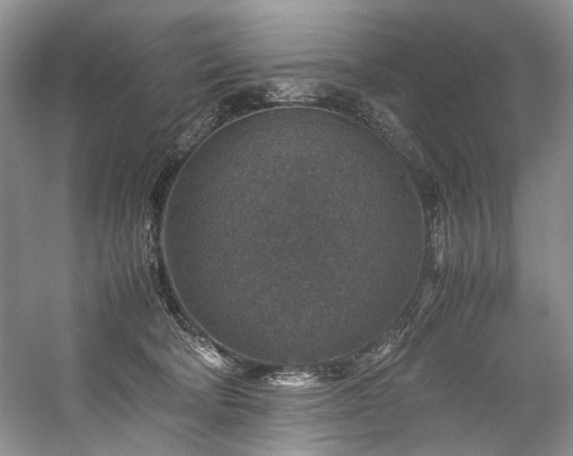 X0000059070322200510071115
