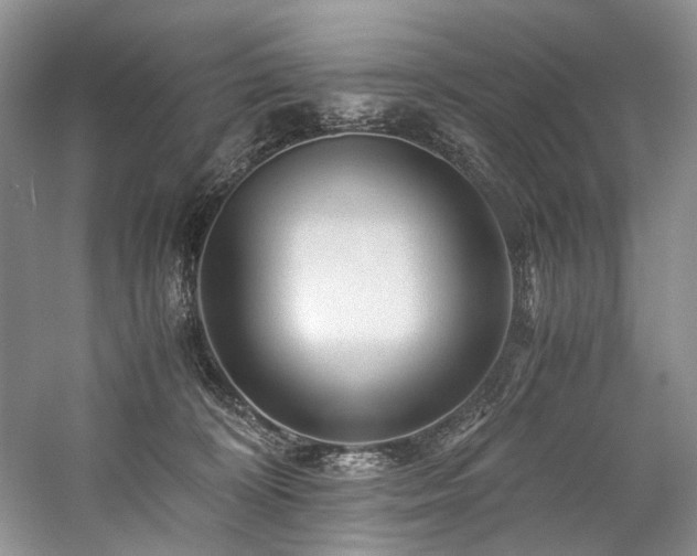 X0000059070324200510071115