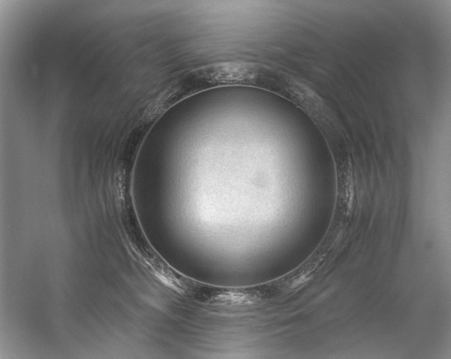 X0000059070326200510071115