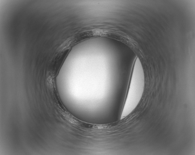 X0000059070329200510071115