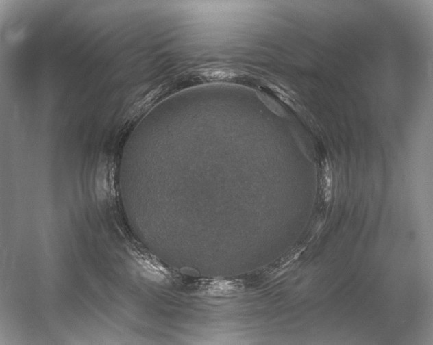 X0000059070330200510071115