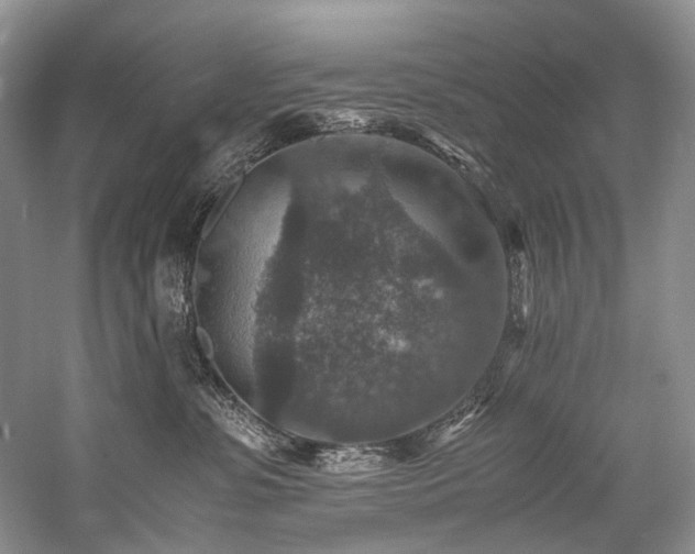 X0000059070331200510071115