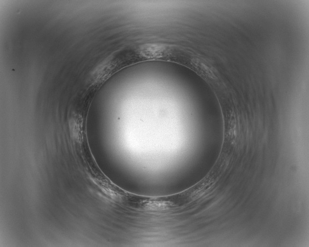 X0000059070332200510071115