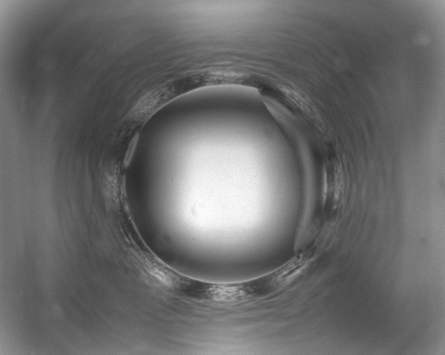 X0000059070333200510071115