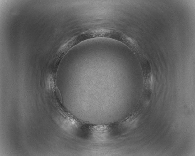 X0000059070335200510071115