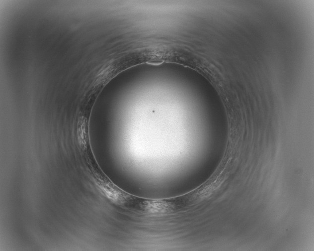 X0000059070336200510071115