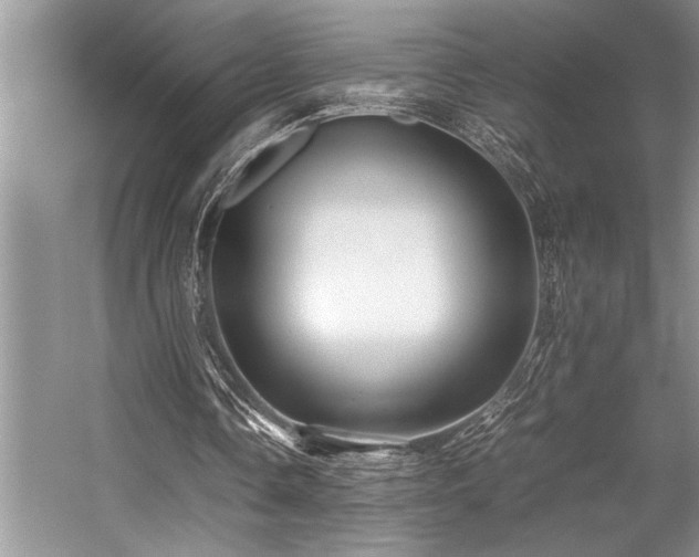 X0000059070338200510071114
