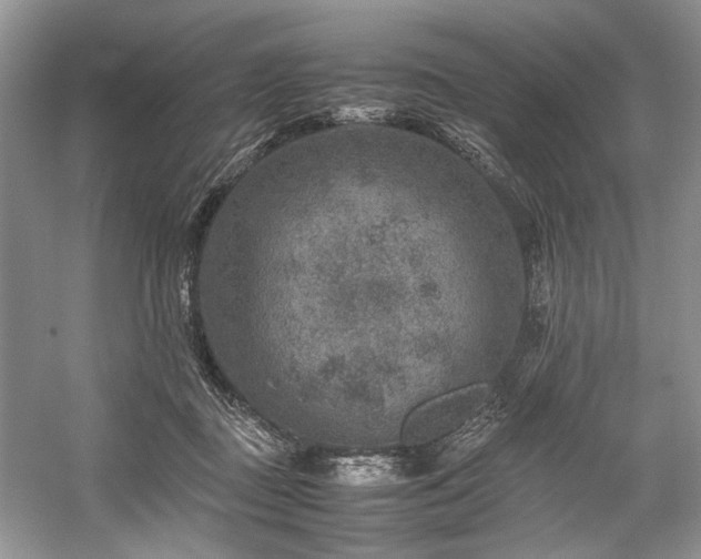 X0000059070363200510071115