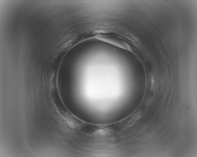 X0000059070364200510071115
