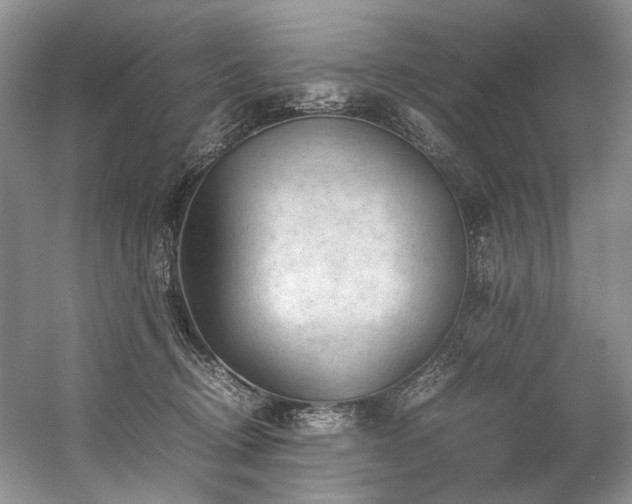 X0000059070370200510071115