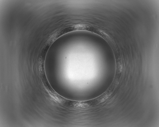 X0000059070379200510071115