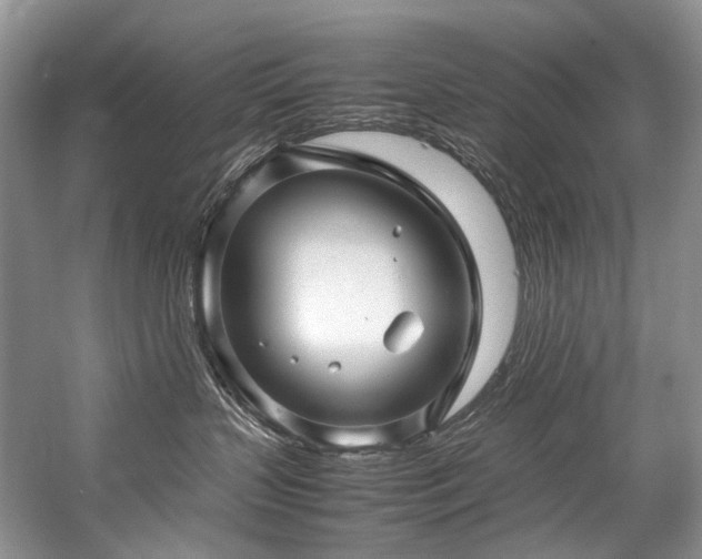 X0000059070383200510071115