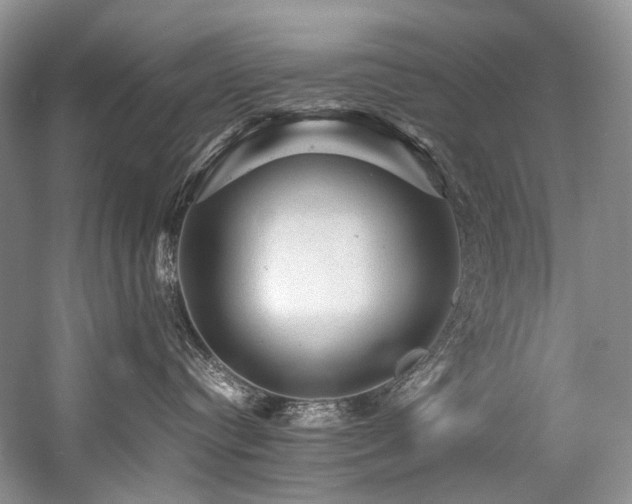 X0000059070384200510071115