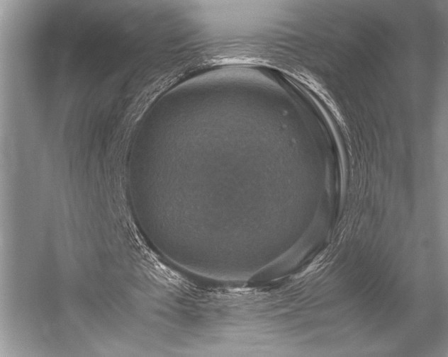 X0000059070385200510071114