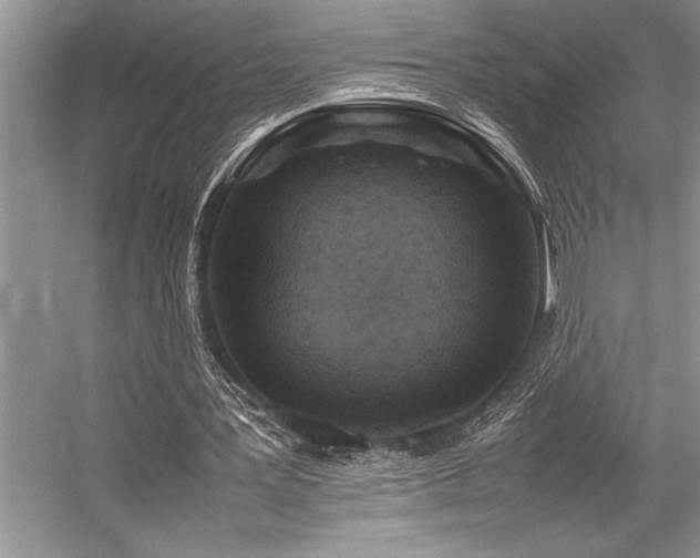 X0000059070387200510071114
