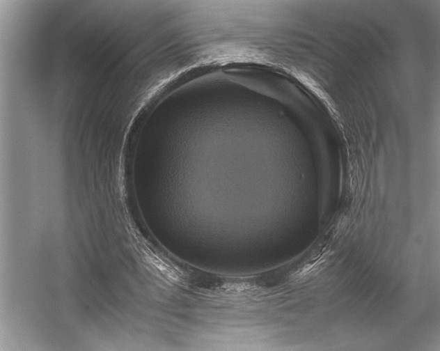 X0000059070391200510071114