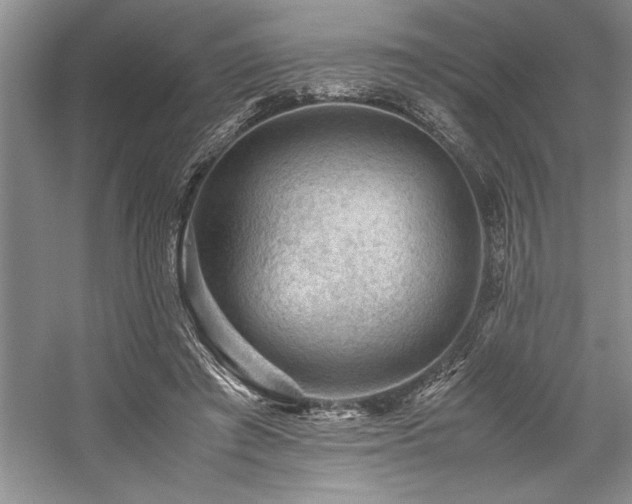 X0000059070401200510071114