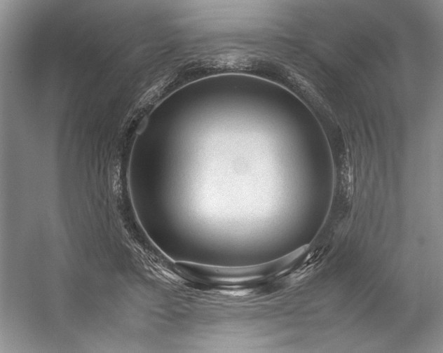 X0000059070403200510071114