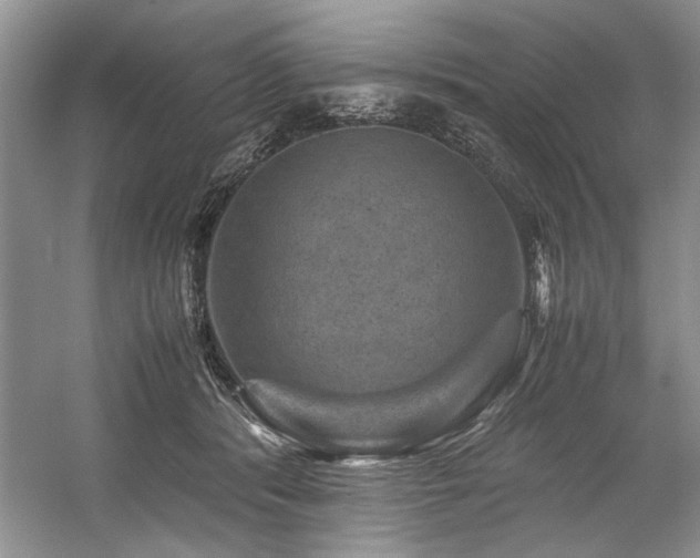 X0000059070416200510071114