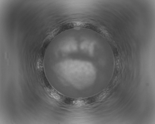 X0000059070419200510071114