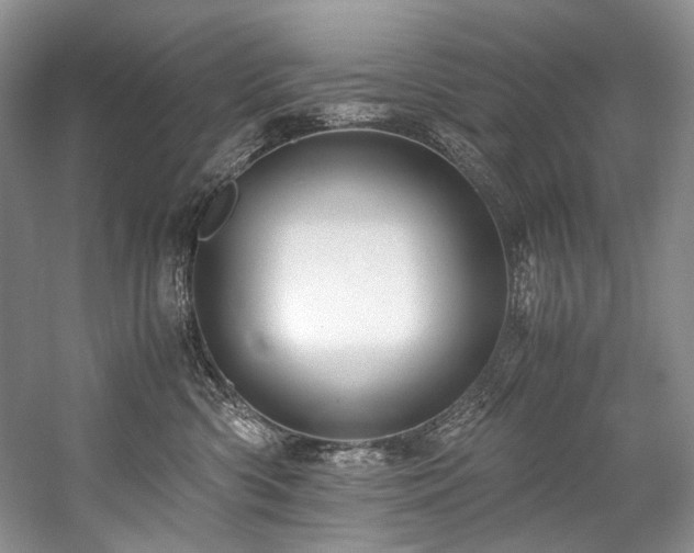 X0000059070426200510071114
