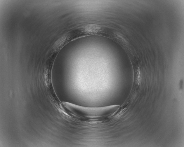 X0000059070428200510071113