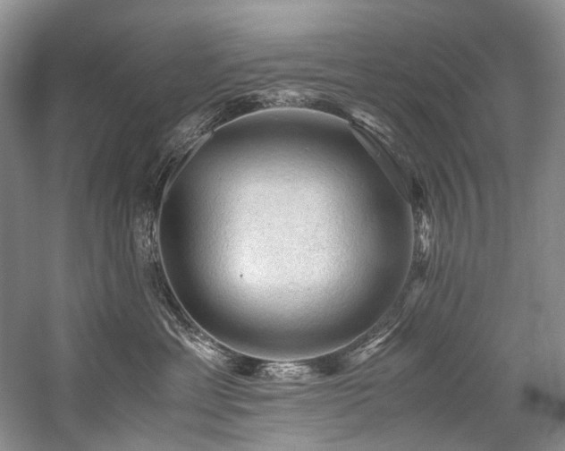 X0000059070429200510071113