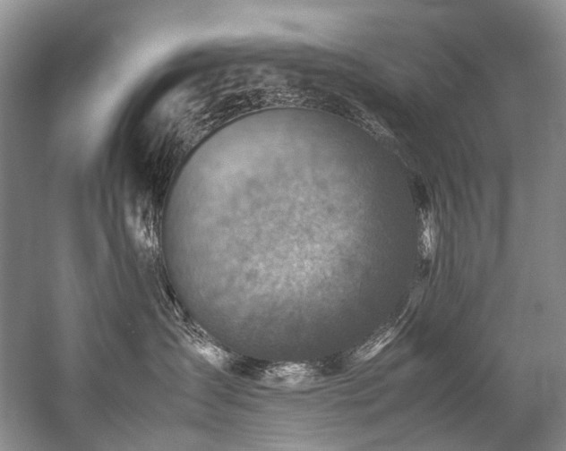 X0000059070431200510071113