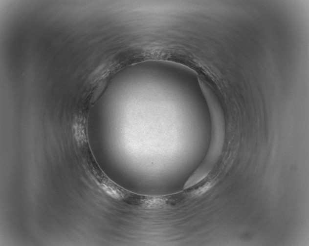 X0000059070432200510071113