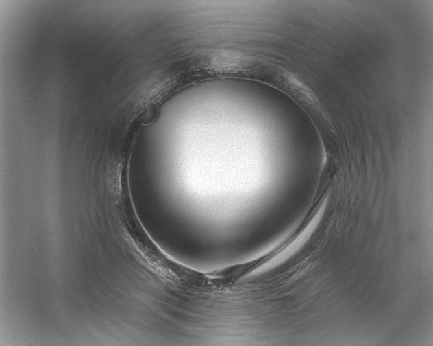 X0000059070454200510071113