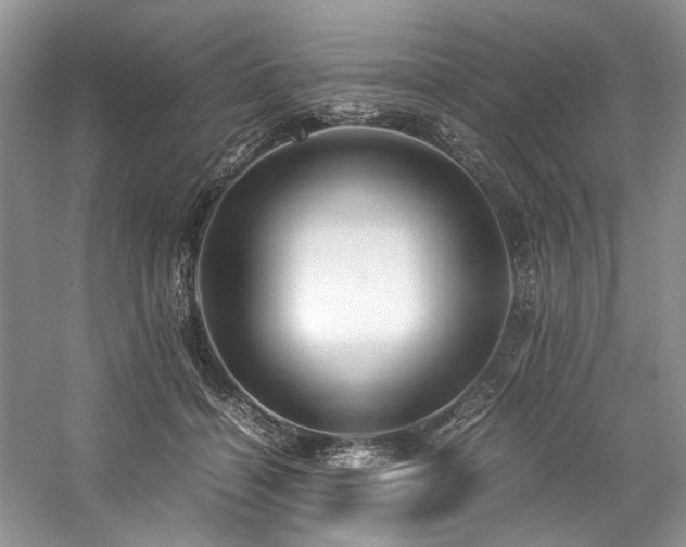 X0000059070460200510071113