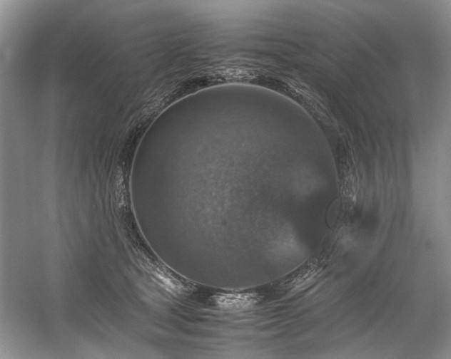 X0000059070465200510071113