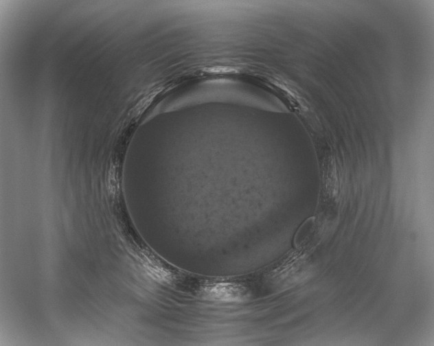 X0000059070467200510071113