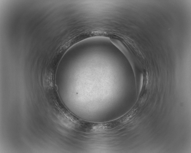 X0000059070470200510071113