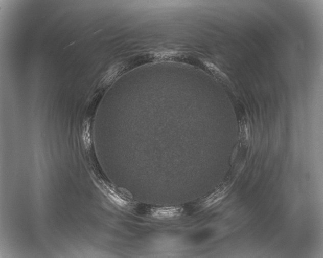 X0000059070479200510071113