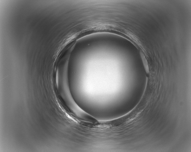 X0000059070485200510071113