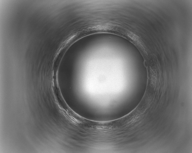 X0000059070486200510071112