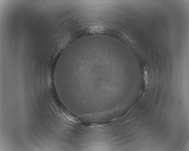 X0000059070508200510071112