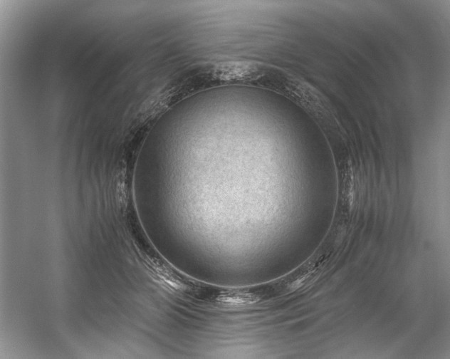 X0000059070510200510071112
