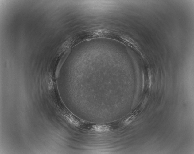 X0000059070520200510071112